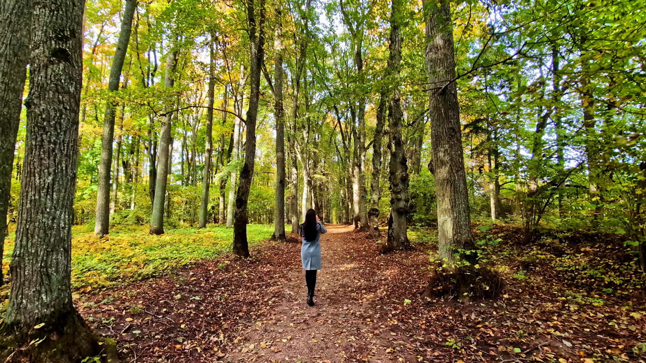Rear view of a woman walking down the forest path with dense, lush trees and foliage in Lielvarde, Latvia