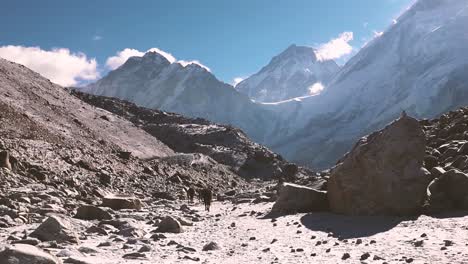 Pferde-Grasen-In-Einer-Atemberaubenden-Verschneiten-Berglandschaft-Bei-Gorakshep-In-Der-Everest-Region-Auf-Dem-Weg-Zum-Everest-Basislager,-Khumbu-–-Nepal