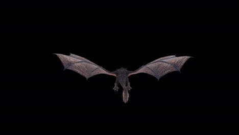 realistic dragon flying back to camera on black background