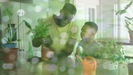 animación de luces en el agua sobre un feliz padre afroamericano y su hijo trasplantando plantas
