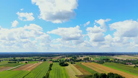 Bird's-eye-view-of-agricultural-area-and-green-wavy-fields-in-sunny-day