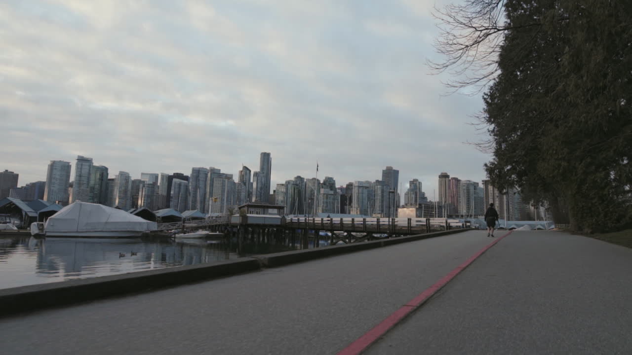 스탠리 공원, 아침 밴쿠버, slowmotion에서 걷는 남자의 넓은 뒤로 이동 샷