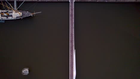puente de la mujer를 따라 탑다운 보기, 스윙 다리를 건너는 관광객, 부에노스 아이레스