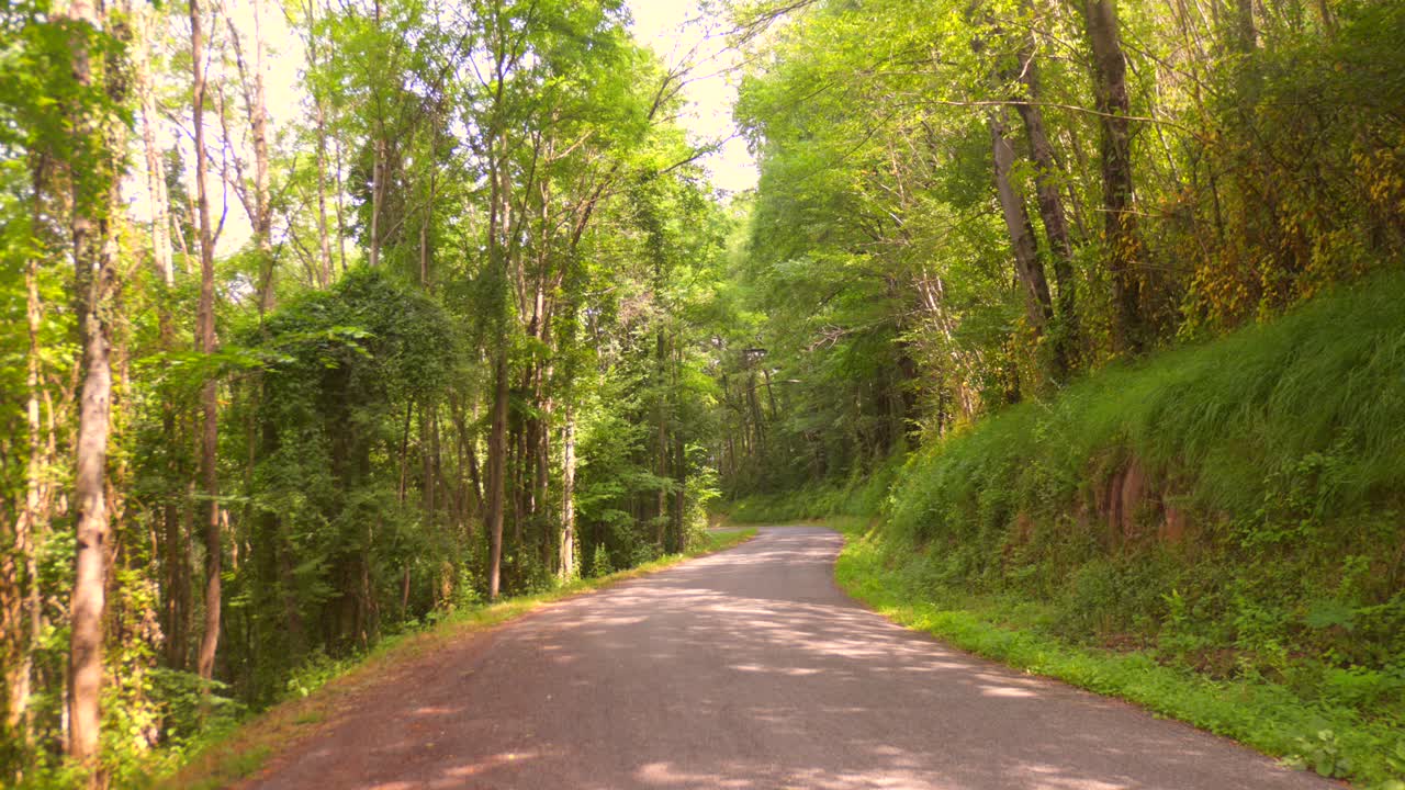 A peaceful video of a scenic road winding through a dense forest. Experience the tranquility and natural beauty of this remote landscape, perfect for a relaxing nature drive