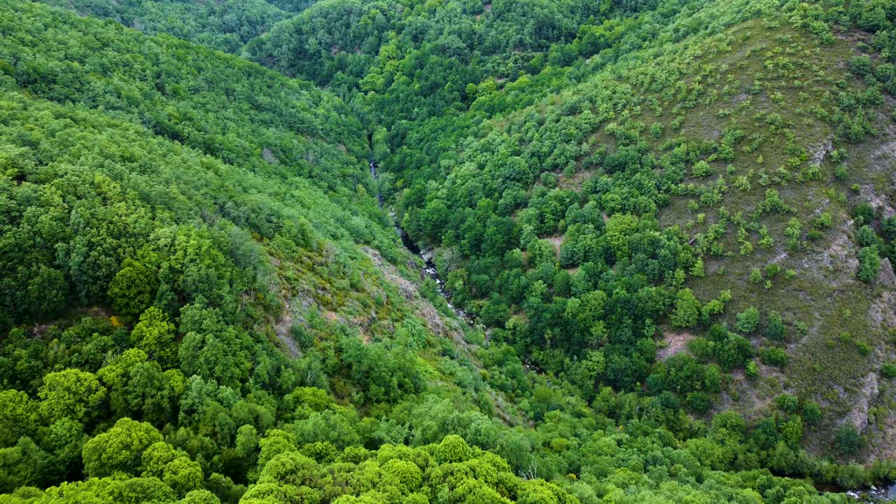 el cañón del río bibei en lo profundo de la ladera de los arbustos boscosos de zamora, españa.