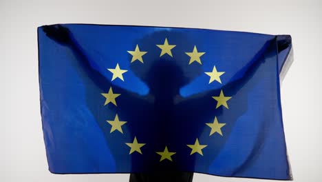 person holding eu flag