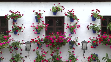 ornate floral decor on whitewashed exterior wall