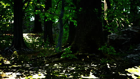 Roots-of-an-old-tree-overgrown-with-moss