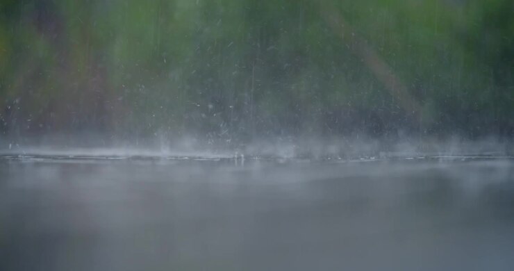 Close-up of Raindrops Falling on Water Surface in Nature