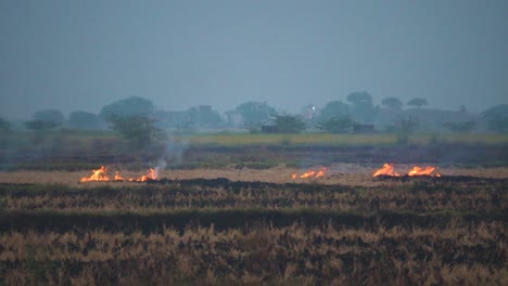 Quema-De-Rastrojos-De-Restos-De-La-Cosecha-De-Arrozales-O-Arrozales,-Lo-Que-Provoca-Smog-Y-Una-Fuerte-Contaminación-Del-Aire-En-Delhi,-Punjab,-Haryana,-India