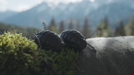 closeup view of world war's historical weapon grenades as antique piece