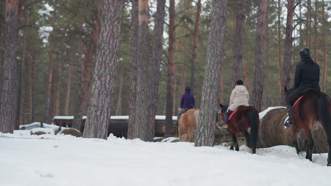 Enigmático viaje invernal: jinetes a caballo atraviesan un bosque helado; jinetes exploran bosques helados bajo el cielo invernal; sendero de temporada místico mientras los jinetes atraviesan bosques de pinos cubiertos de nieve y campos helados.