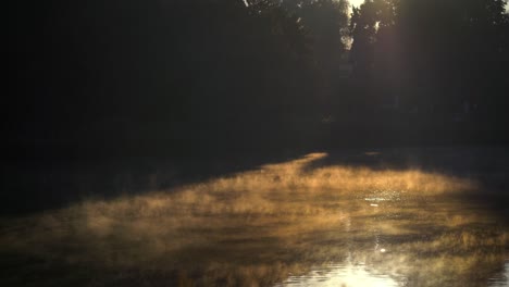 mysterious view of a pond in the morning sun with rising steam from the surface