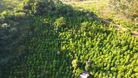 Naturaleza-En-La-Montaña-Drone-Shot