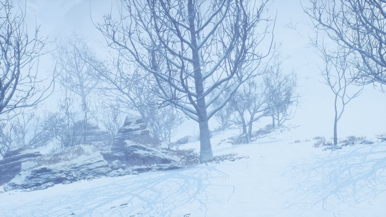 안개 가 많은 아침 에 겨울 의 낙 ⁇  숲