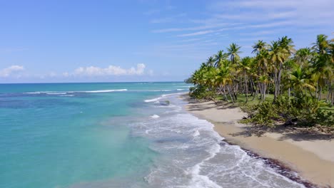 aerial flyover tropical coastline with clear water and private beach during sunny day on tropical island - miches,dominican republic