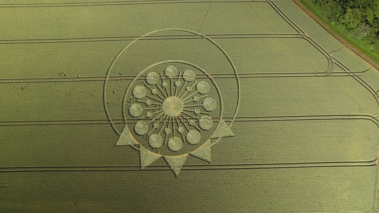 영국 오슬베리 의 녹색  에 있는 곡물 원 - 위 에서 아래 로