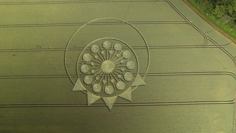 círculo de cultivo en el campo verde en owslebury, inglaterra - aérea de arriba hacia abajo