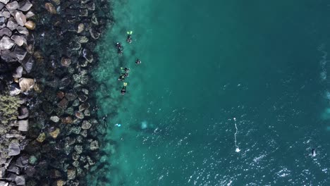 a drone flies over a group of scuba divers exploring an underwater rocky shoreline