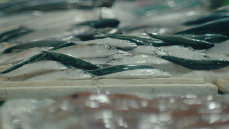 fish stall at vung tau beach seafood night market