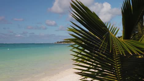 A-side-slow-motion-shot-with-palm-leaves-moving-in-the-foreground,-and-revealing-a-tropical-beach-under-a-beautiful-sky