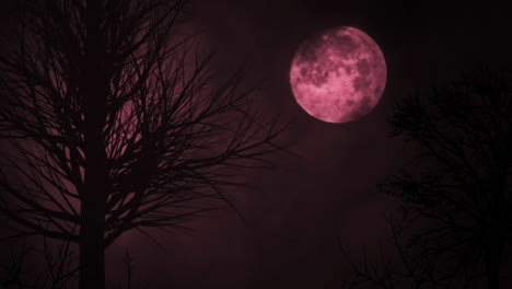 mysterious pink moonlit forest