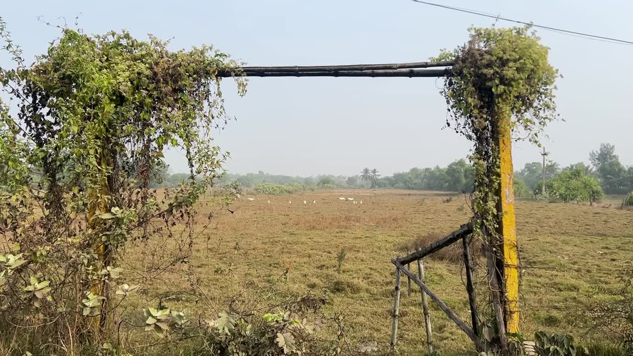 A scenery of an empty ground and goal post in village with some birds on it during daytime in summer in Bengal, India