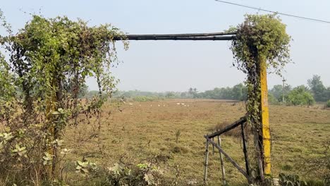 Un-Paisaje-De-Un-Terreno-Vacío-Y-Un-Poste-De-Portería-En-Una-Aldea-Con-Algunos-Pájaros-Durante-El-Día-En-Verano-En-Bengala,-India