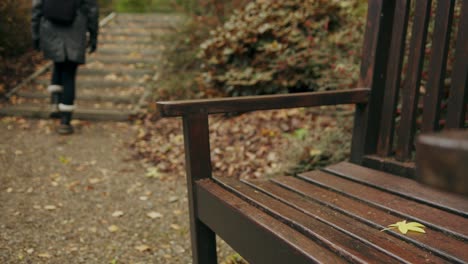 Rambler-Geht-An-Einer-Freien-Parkbank-Vorbei,-Die-Auf-Einem-Herbstlichen-Waldweg-Spazieren-Geht