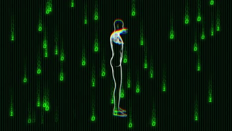 Animation-of-green-binary-coding-data-processing-over-human-body-spinning-on-black-background