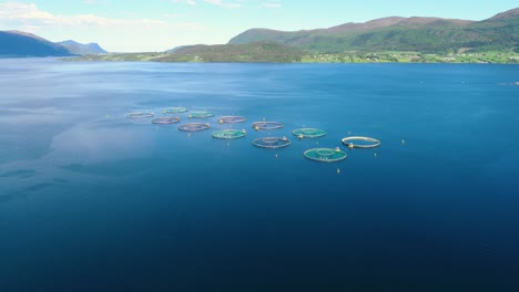 aerial footage farm salmon fishing in norway