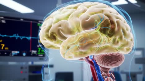 a detailed comparison of brain visualization: analyzing the intricate structures and vascular networks in a clinical setting through advanced imaging techniques
