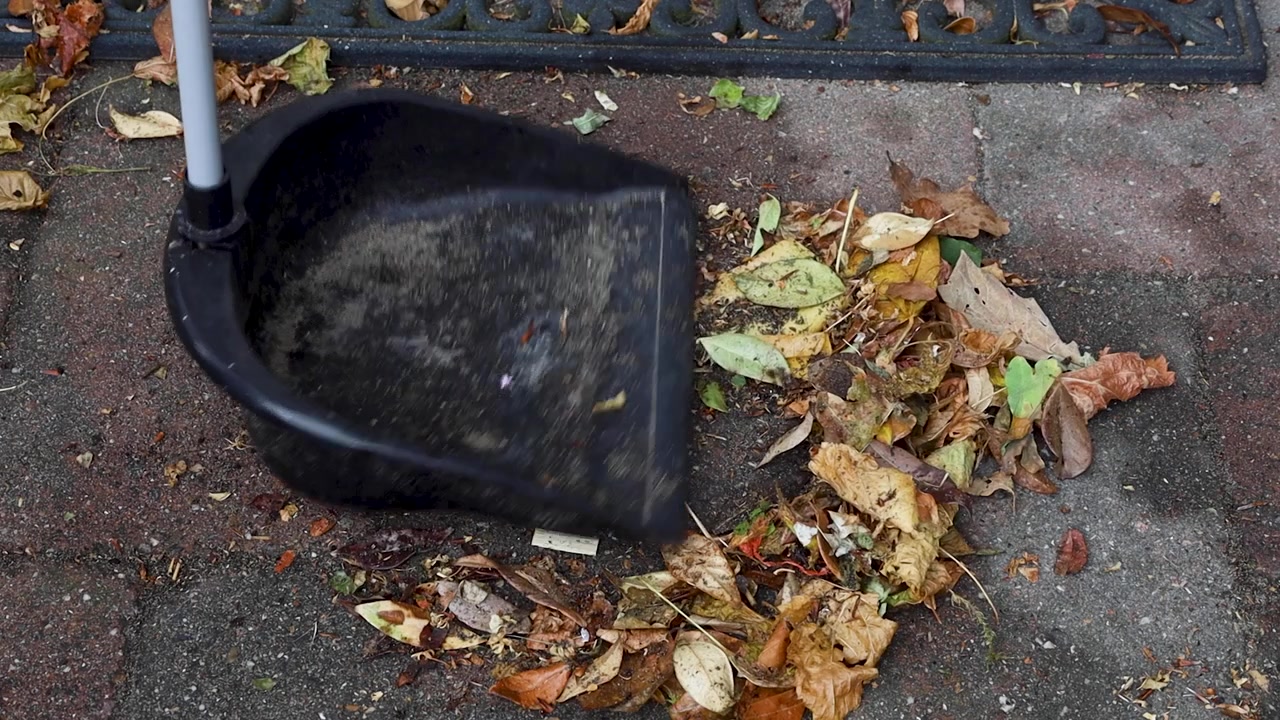 Video cleaning and sweeping leaves.