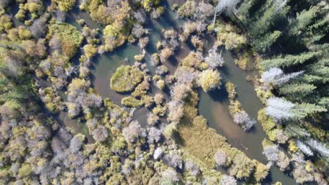 vista aérea hacia abajo de los estanques de castores y