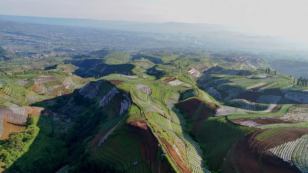 Aerial view of large agricultural field on mountain slope. Drones fly above it moving from high to low parts.