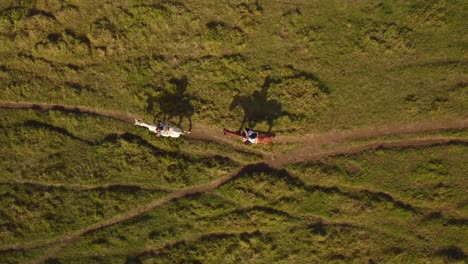 Overhead-shot-of-the-silhouettes-of-horses-moving-at-dawn