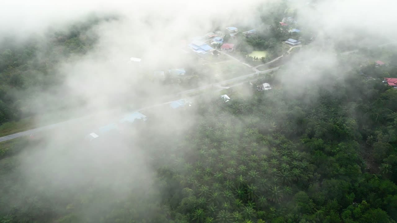 아리엘 드론 뷰 안개가 가득한 아침 해가 지고 푸른 숲이 세메파디 해안 도로 링크 사라와크, 보르네오에 있습니다.