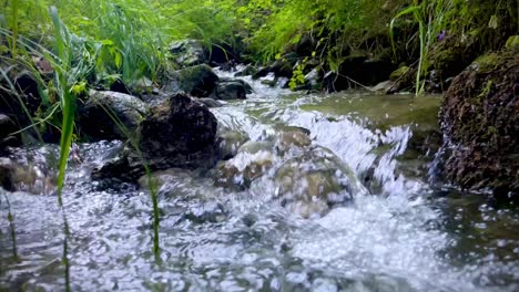 closeup shot of a flowing rocky stream in a forest
