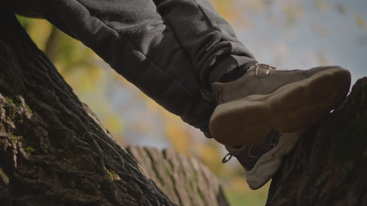 closeup view of child legs and hand resting on tree trunk in tranquil autumn setting, soft sunlight highlights cozy clothing and textured bark while fall colors blur in peaceful background