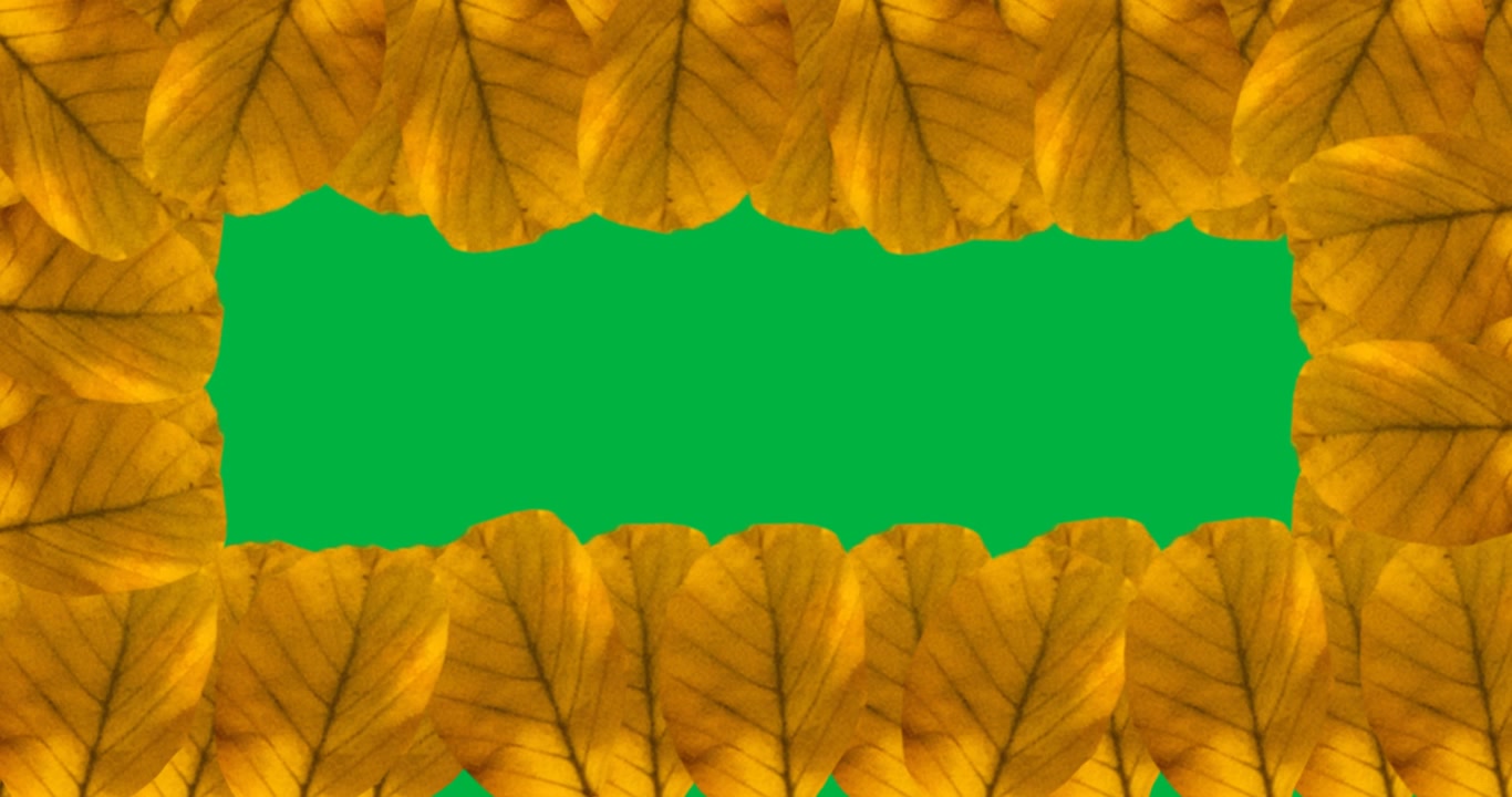 Digital animation of multiple yellow autumn leaves forming a frame against black background