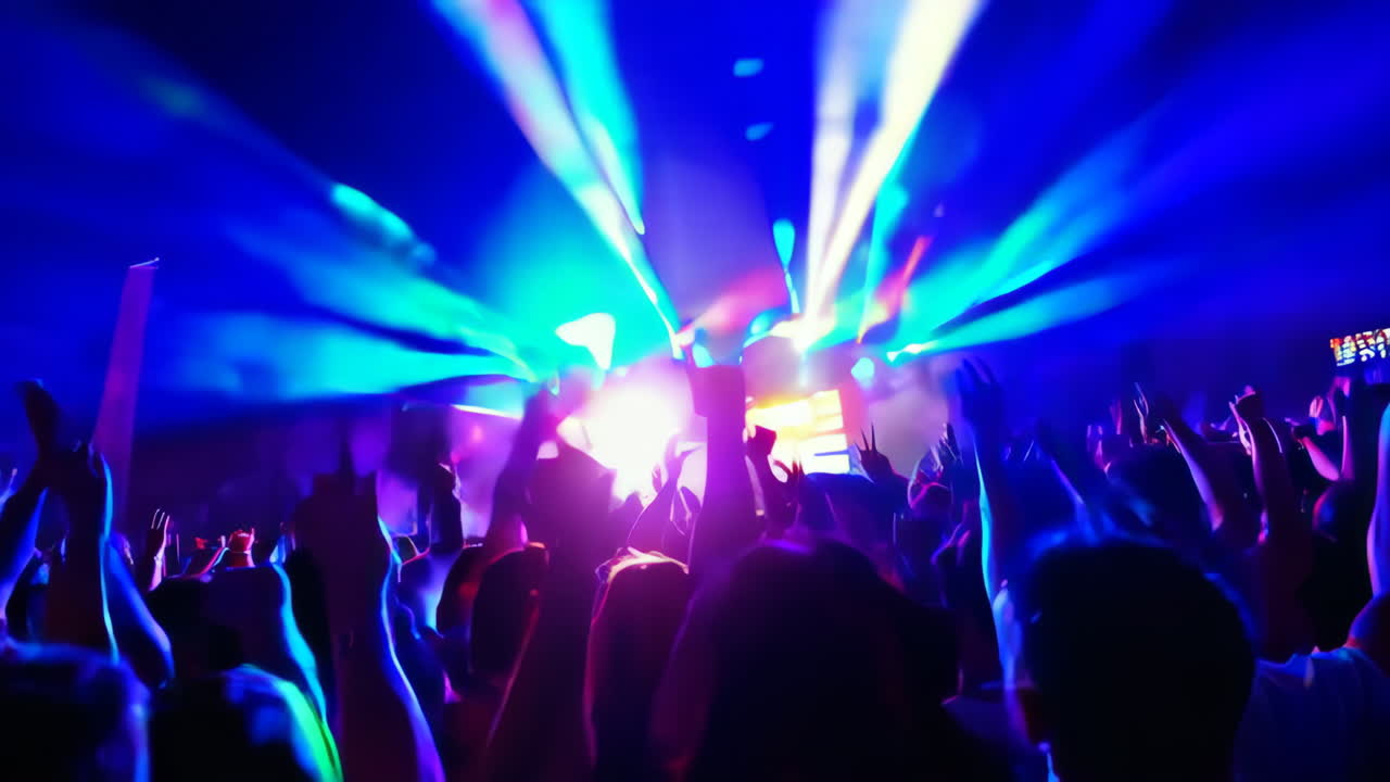 Energetic Crowd at a Nightclub/Concert
