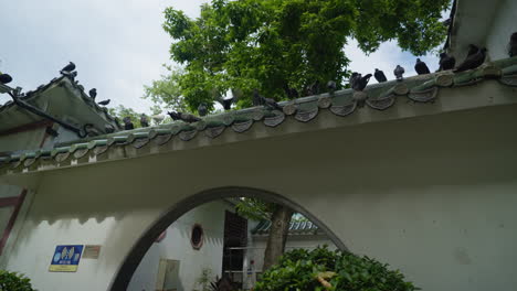 las palomas se sientan en la parte superior del arco asiático de un edificio en hong kong