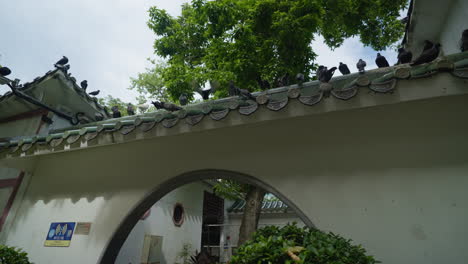 pigeons sit on top of tiled asian archway of building in hong kong