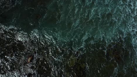 dark ocean waves filmed from above - nova scotia