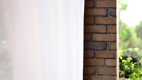 cortinas moviéndose suavemente con vegetación al aire libre