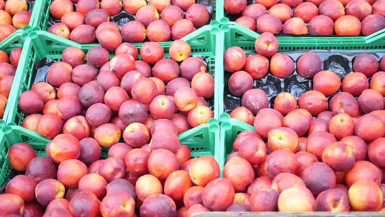 녹색 상자에 담긴 신선한 익은 복아