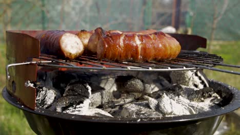 roasting delicious sausages for an outdoor picnic - close up