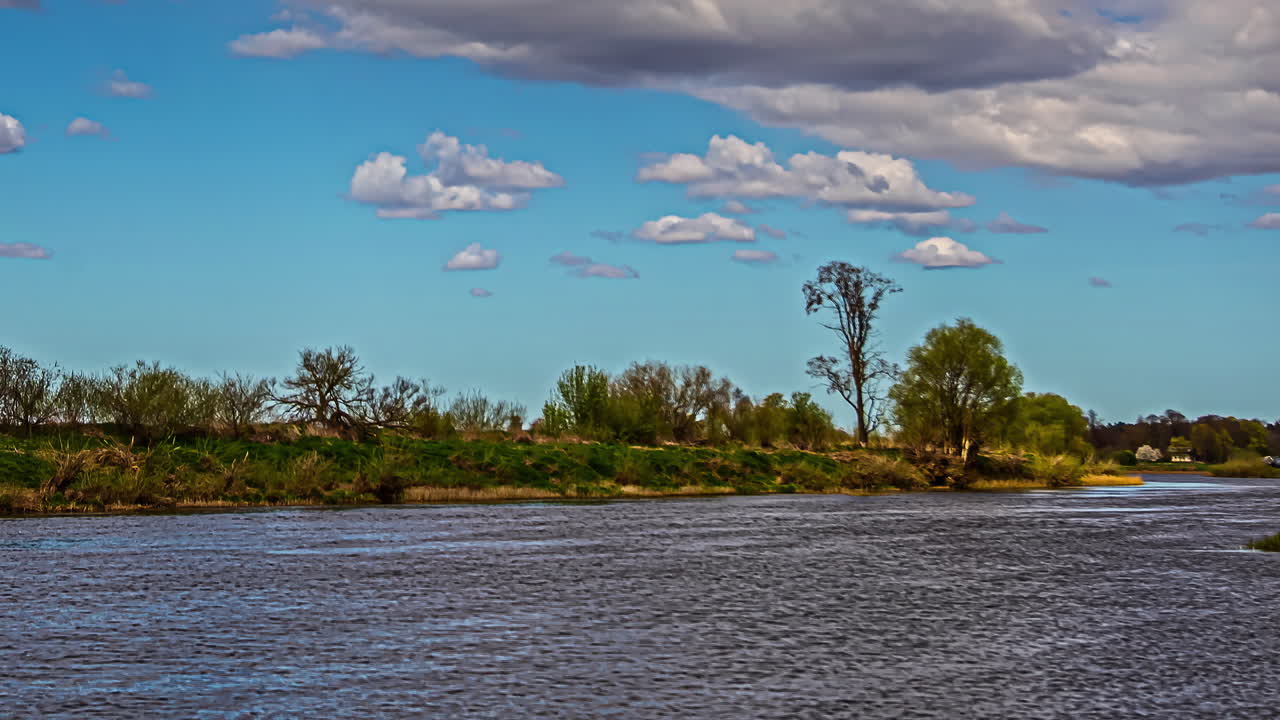 Fitta giungla esotica con palma e cespugli oltre il fiume, time lapse a fusione con zoom indietro