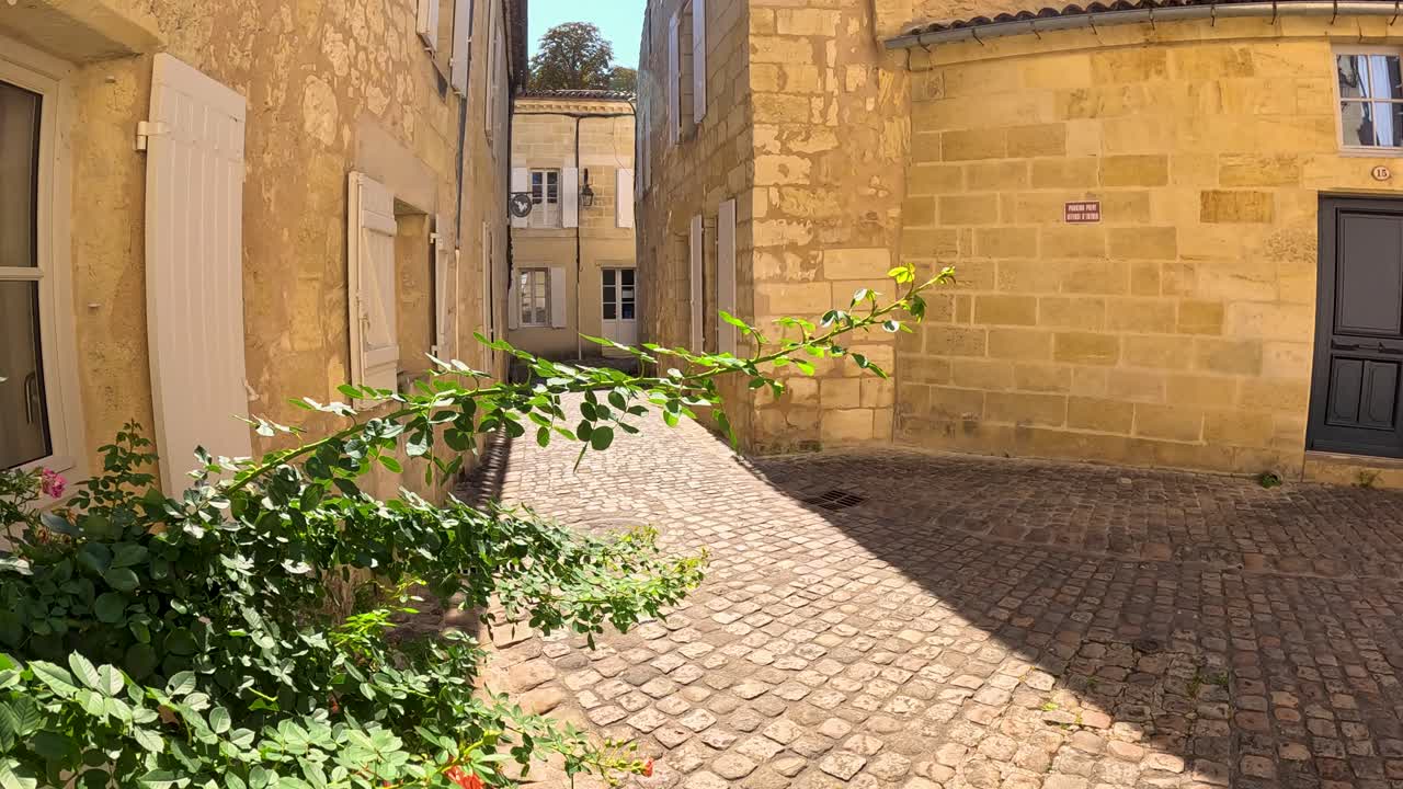 Piante che ondeggiano in un cortile soleggiato e acciottolato