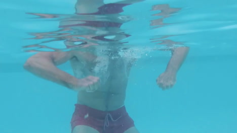 handsome man swimming in swimming pool